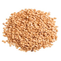 Eggplant Seeds - Black Beauty