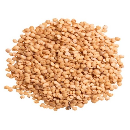 Eggplant Seeds - Black Beauty