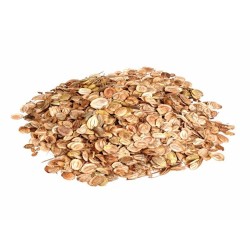 Parsnip Seeds - All American