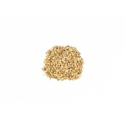 Spinach Seeds - Bloomsdale