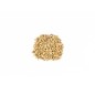 Spinach Seeds - Bloomsdale Spinach Seeds - Bloomsdale