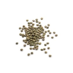 Okra Seeds - Clemson Spineless