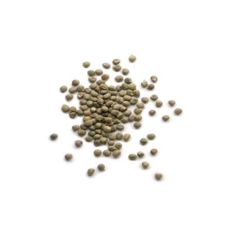 Okra Seeds - Clemson Spineless