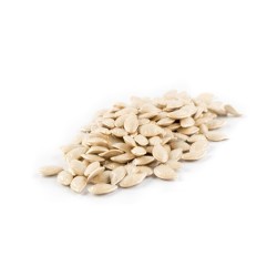 Squash Seeds - Dark Green Zucchini