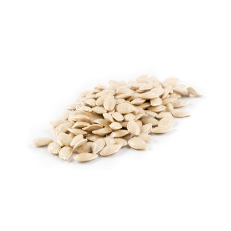 Squash Seeds - Dark Green Zucchini