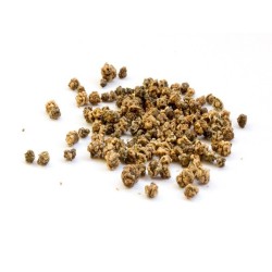 Beet Seeds - Detroit Dark Red