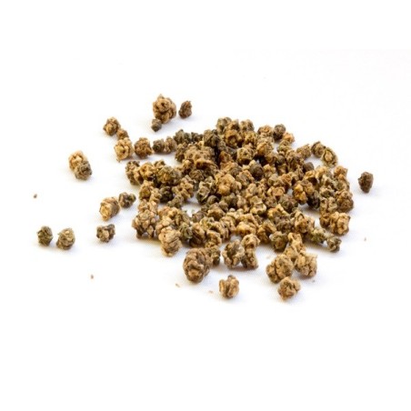 Beet Seeds - Detroit Dark Red