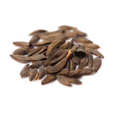 Lettuce Seeds - Gourmet Blend