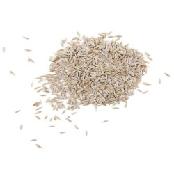 Signature Gourmet Lettuce Seed Mix - 100% Non-GMO & Open-Pollinated - The Seed Guy