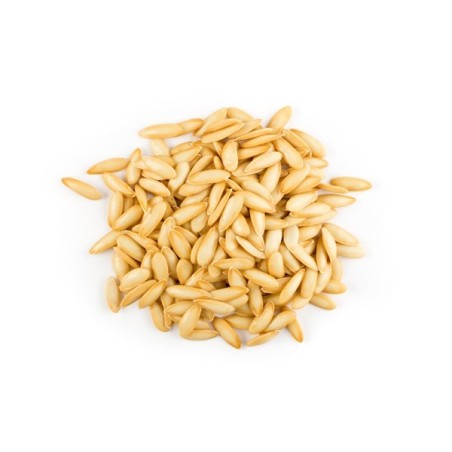 Melon Seeds - Honeydew