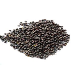 Collard Seeds - Morris Heading