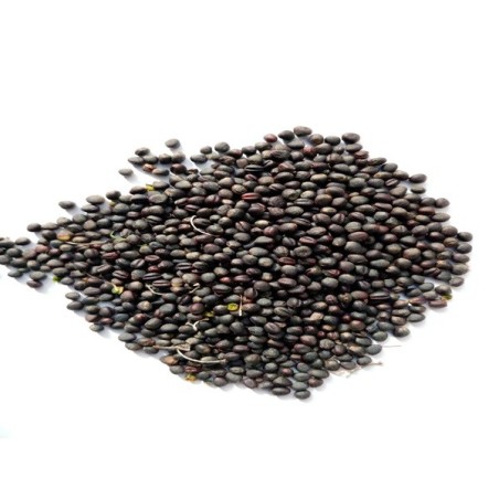 Collard Seeds - Morris Heading