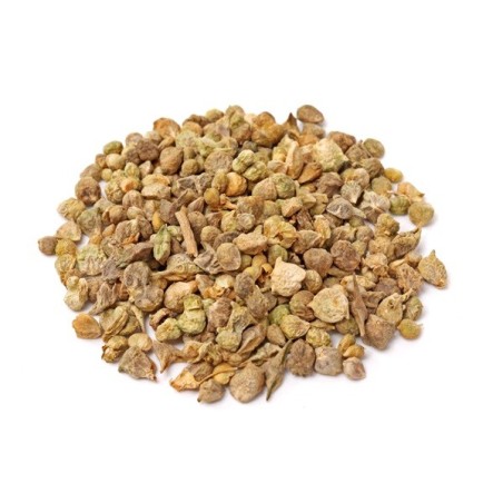 Spinach Seeds, New Zealand