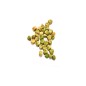 Pea Seeds - Sugar Ann Pea Seeds - Sugar Ann