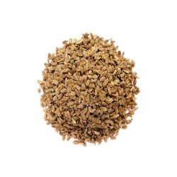 Carrot Seeds - Red Cored Chantenay