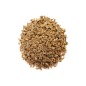 Carrot Seeds - Red Cored Chantenay Carrot Seeds - Red Cored Chantenay