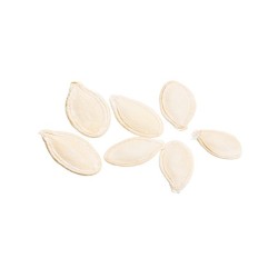 Squash Seeds - Golden Summer Crookneck