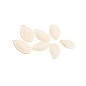 Squash Seeds - Golden Summer Crookneck