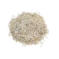 Lettuce Seeds - Red Romaine