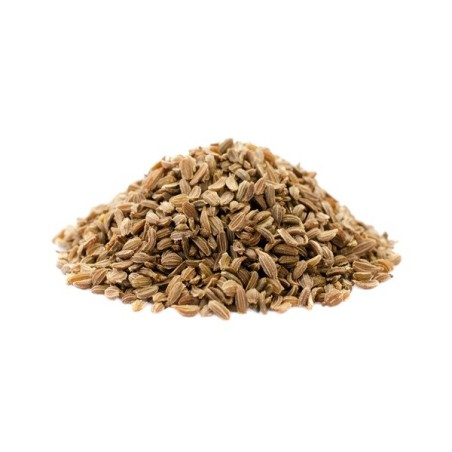 Carrot Seeds - Scarlet Nantes