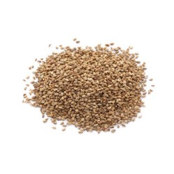 Celery Seeds - Tall Utah