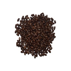 Bean Seeds - Top Crop Bush