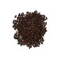 Bean Seeds - Top Crop Bush