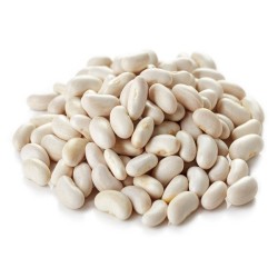 Bean Seeds - Blue Lake Bush 274