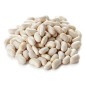Bean Seeds - Blue Lake Bush 274