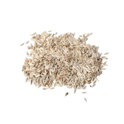 Lettuce Seeds - Oakleaf