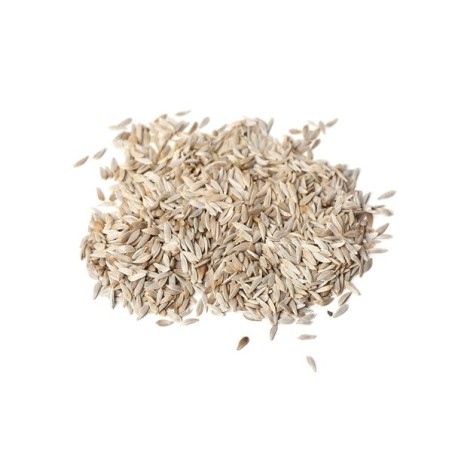 Lettuce Seeds - Oakleaf