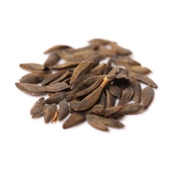 Lettuce Seeds - Red Bowl Salad