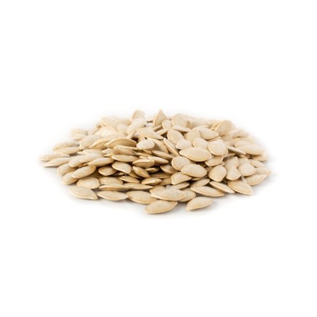 Squash Seeds - Black Beauty Zucchini