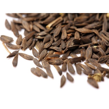 Lettuce Seeds - Waldmans Green