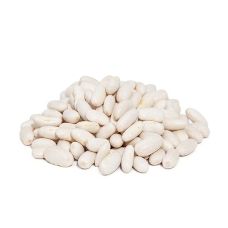 Bean Seeds - Blue Lake Pole