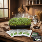 10 Variety Heirloom Microgreen Starter Seed Package 10 Variety Heirloom Microgreen Starter Seed Package