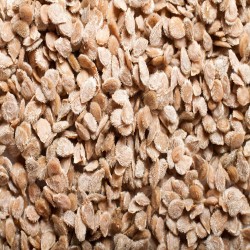 Tomato Seeds - Beefsteak