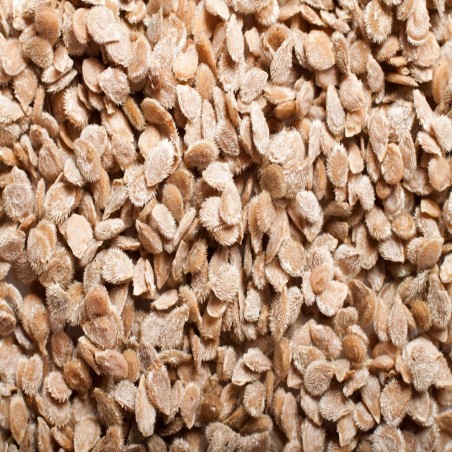 Tomato Seeds - Beefsteak