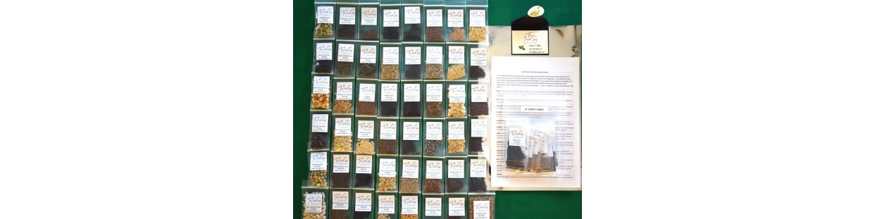 62 Variety Package | 48 Vegetables + 14 Medicinal Herbs | The Seed Guy