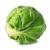 Brussels Sprouts Icon