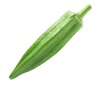 Okra Icon