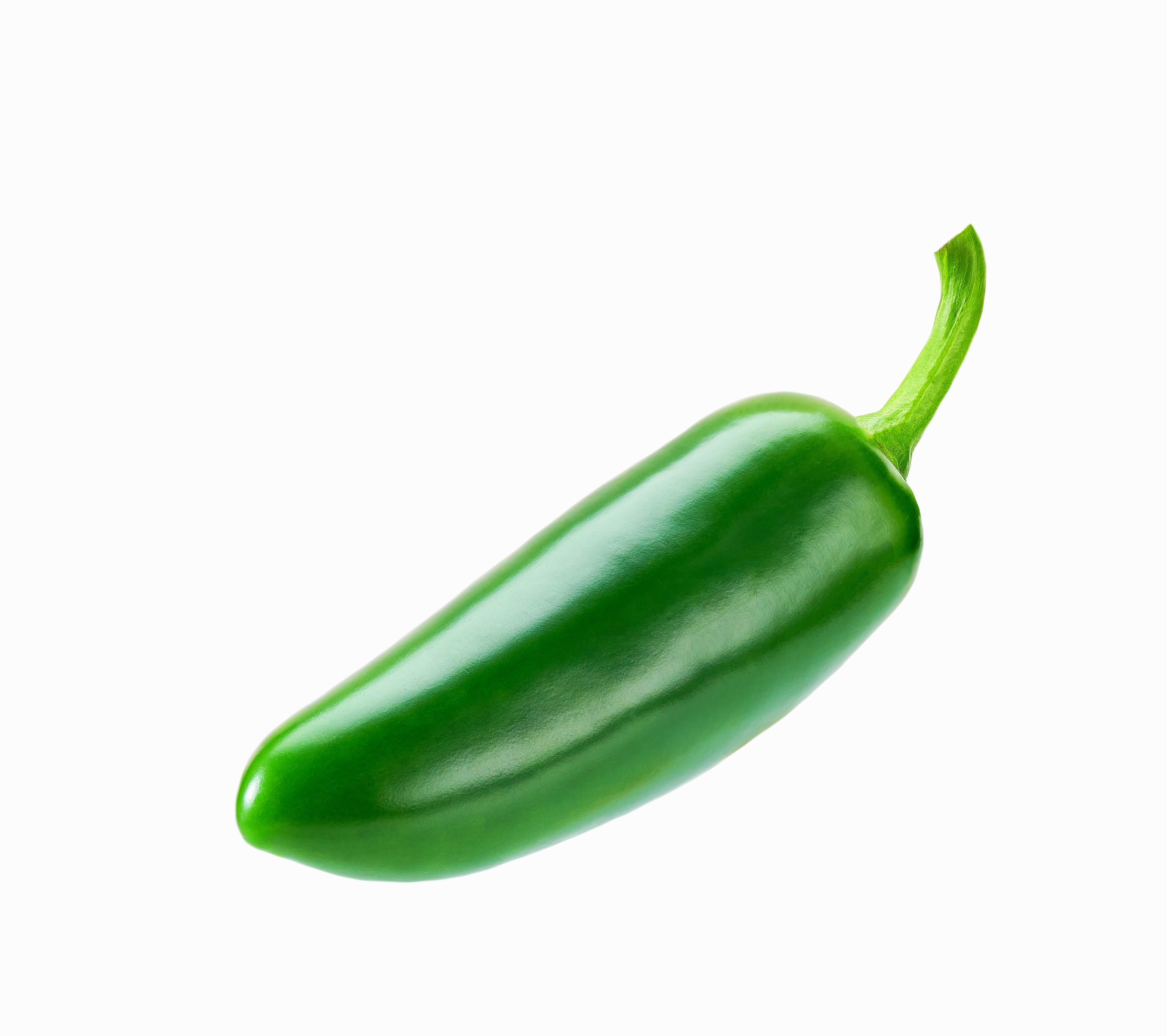 Pepper Icon