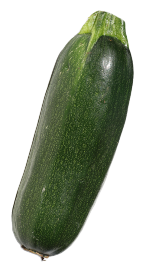 Black Beauty Zucchini Icon