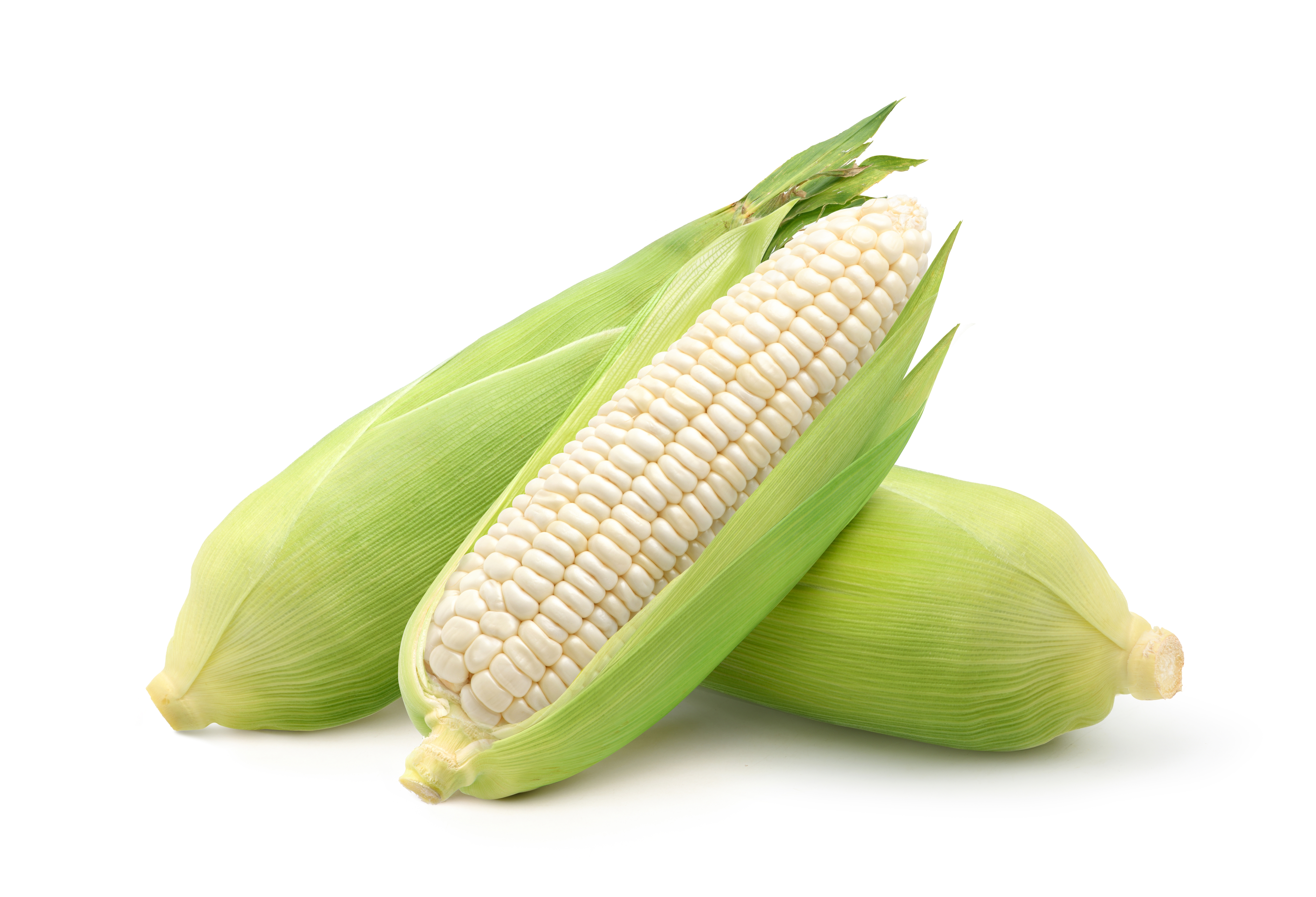 Country Gentleman Corn Icon