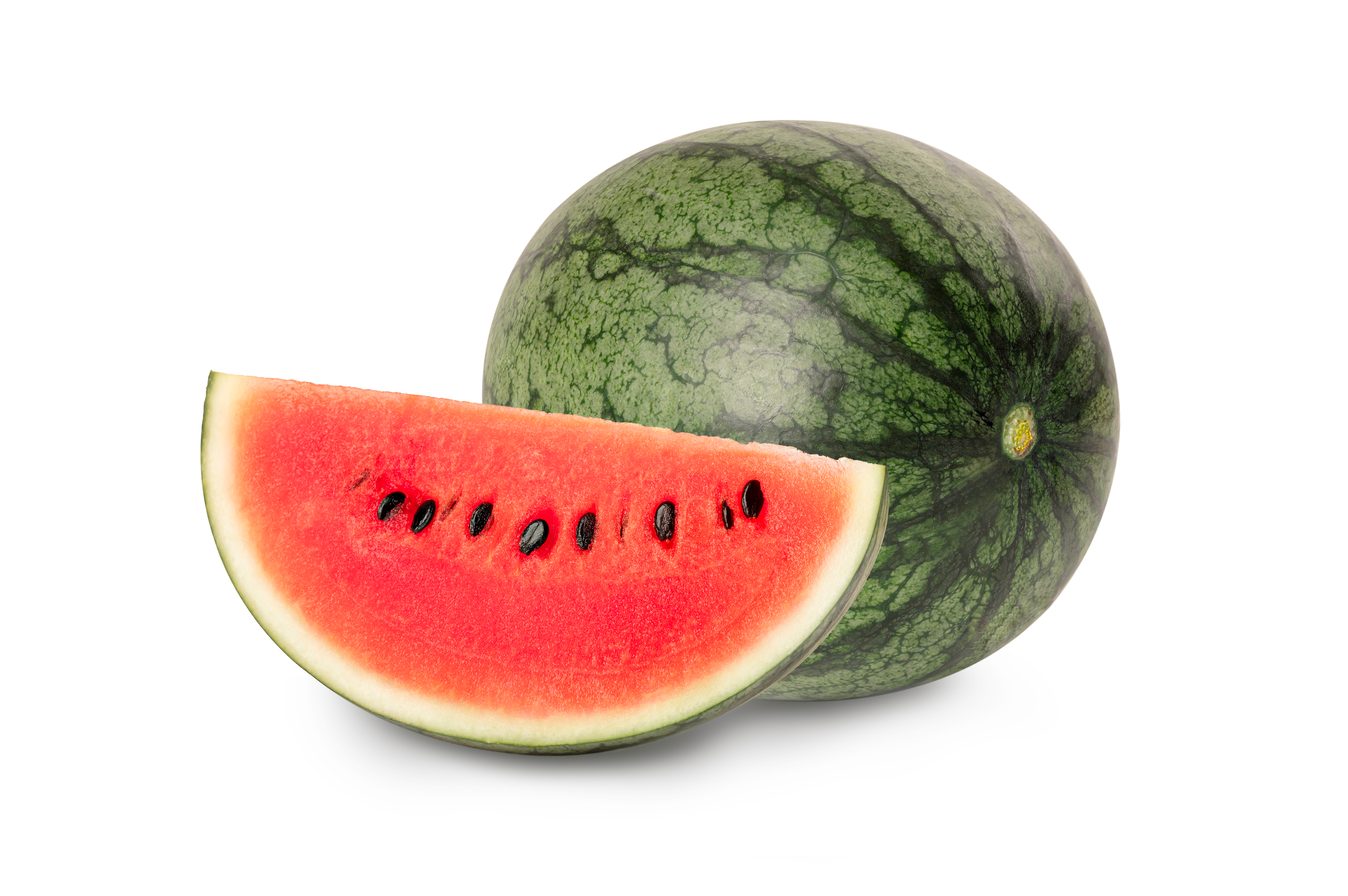 Crimson Sweet Watermelon Icon