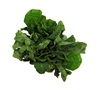 Tendergreen Mustard