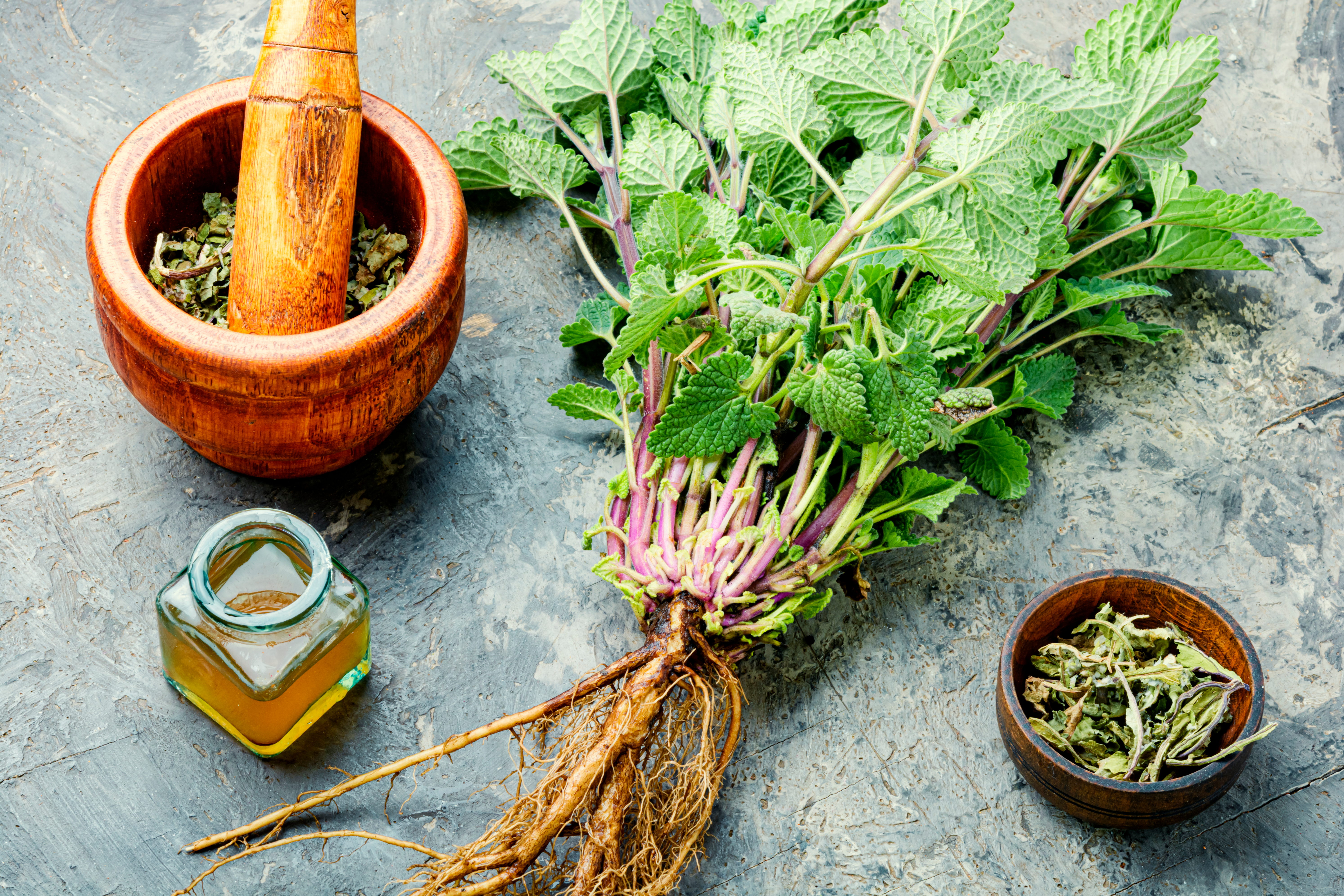 How to make a Lemon Balm Tincture