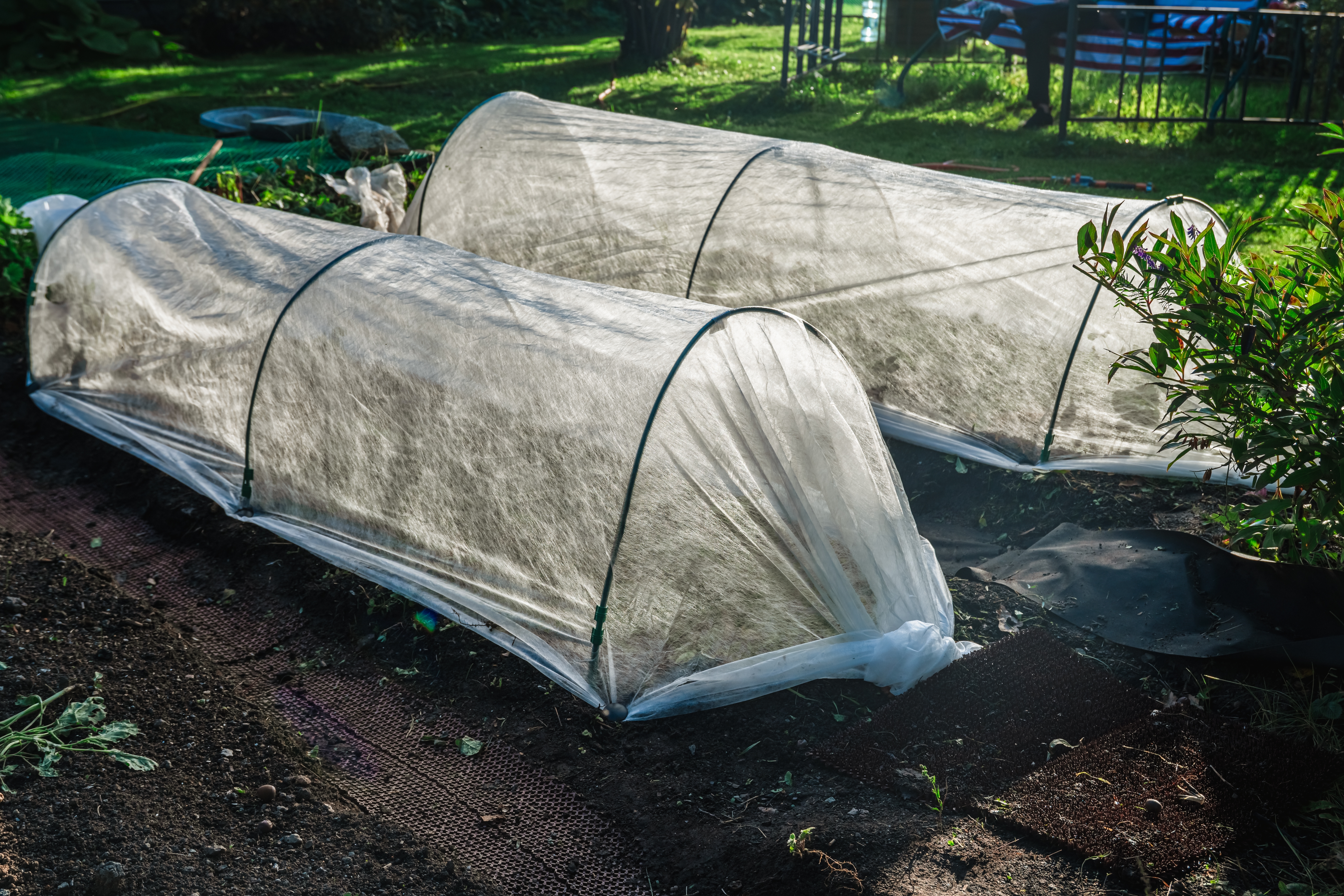 Best floating row covers and low tunnel hoop house setups for extending your growing season