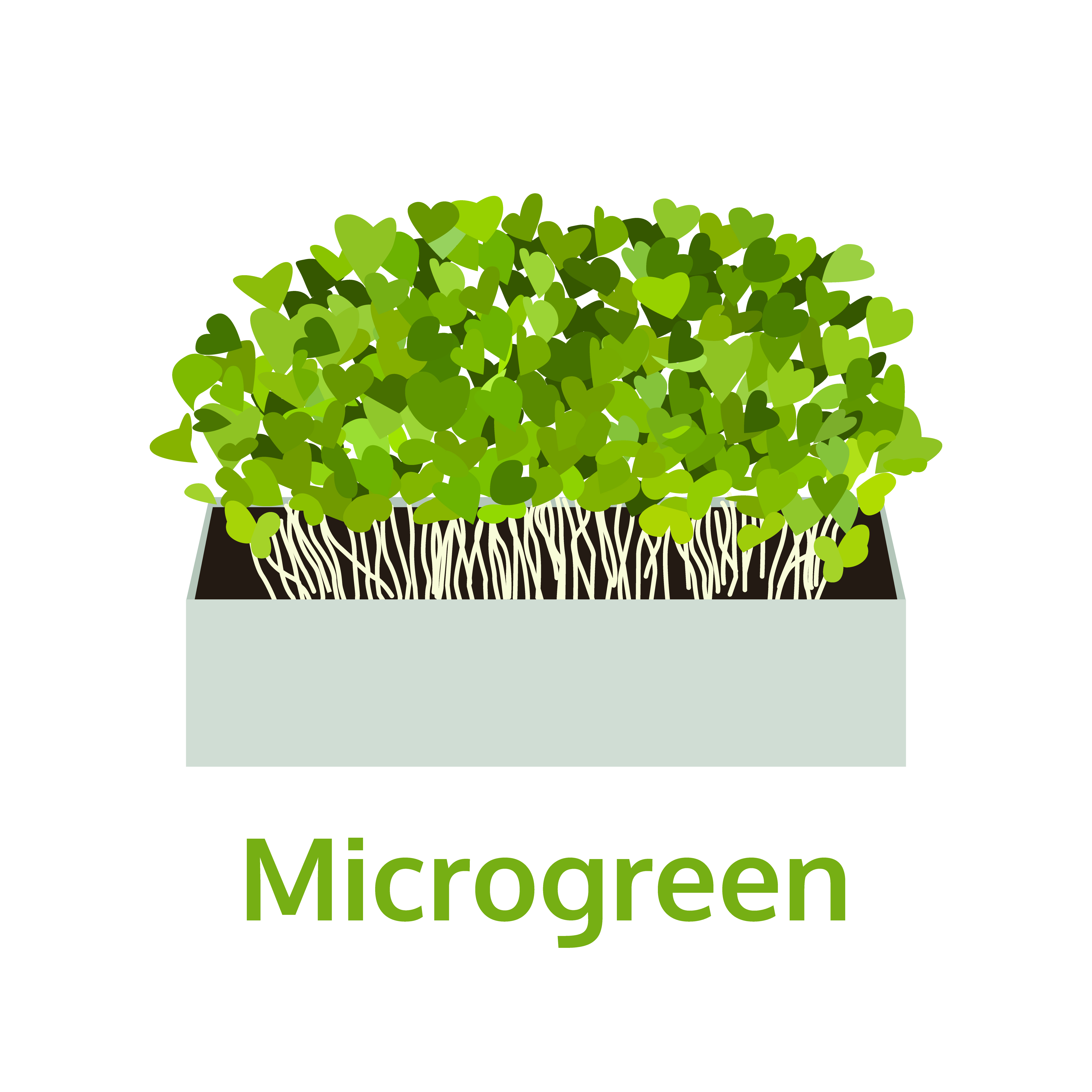 Microgreens