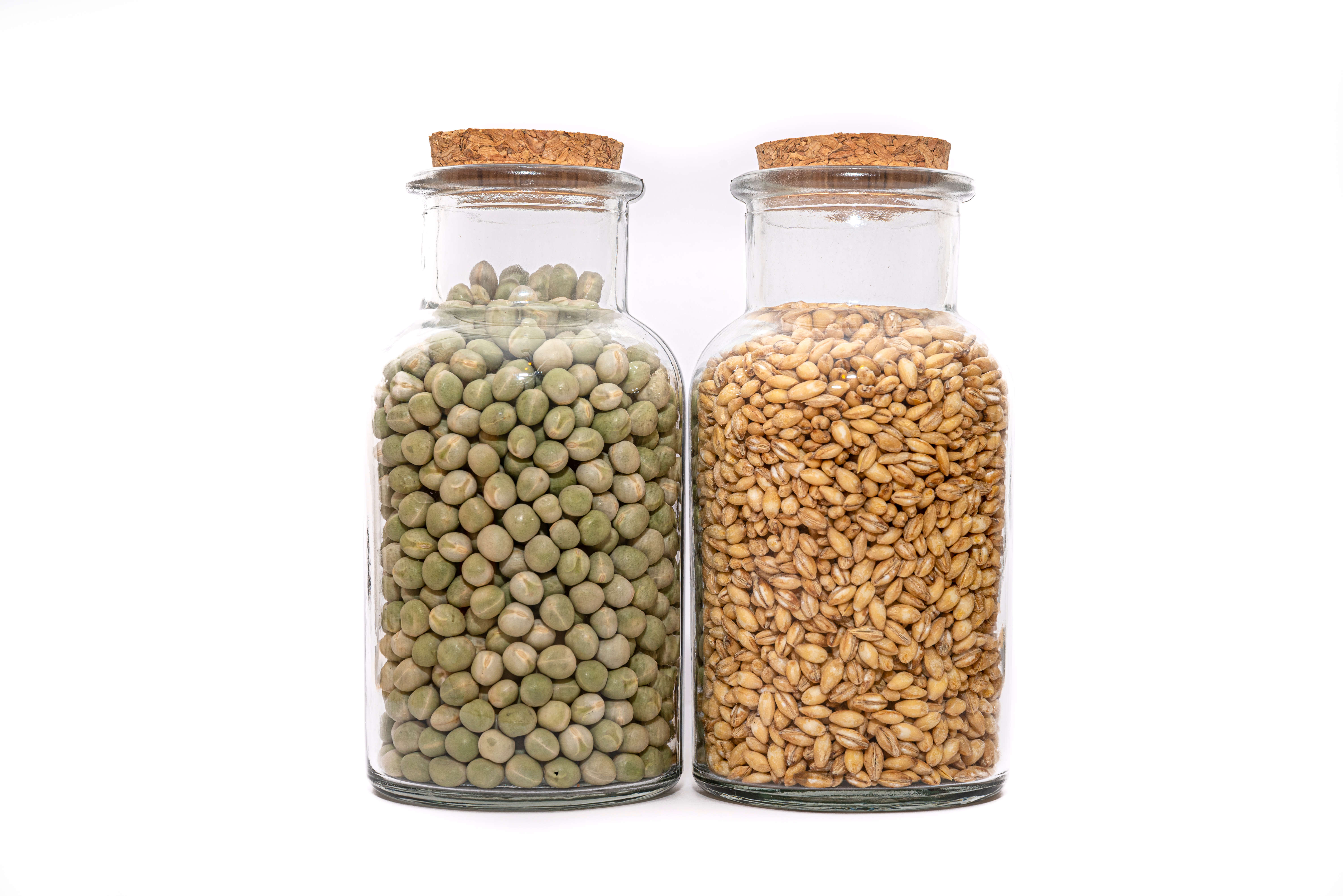 Seed Saving Icon